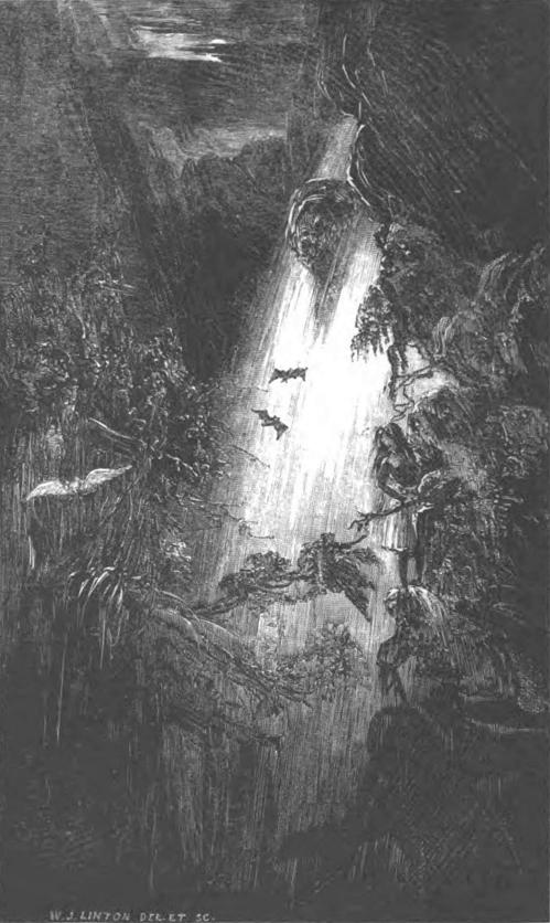 Beale: Kinau Descending the Pele of Nuanu.